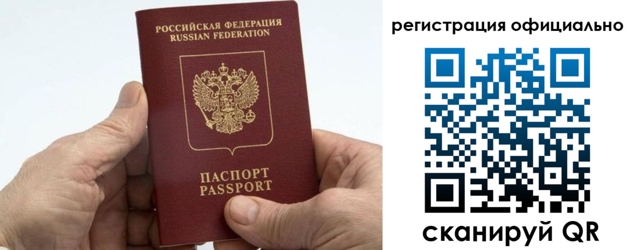 прописка гарантия в Дубне